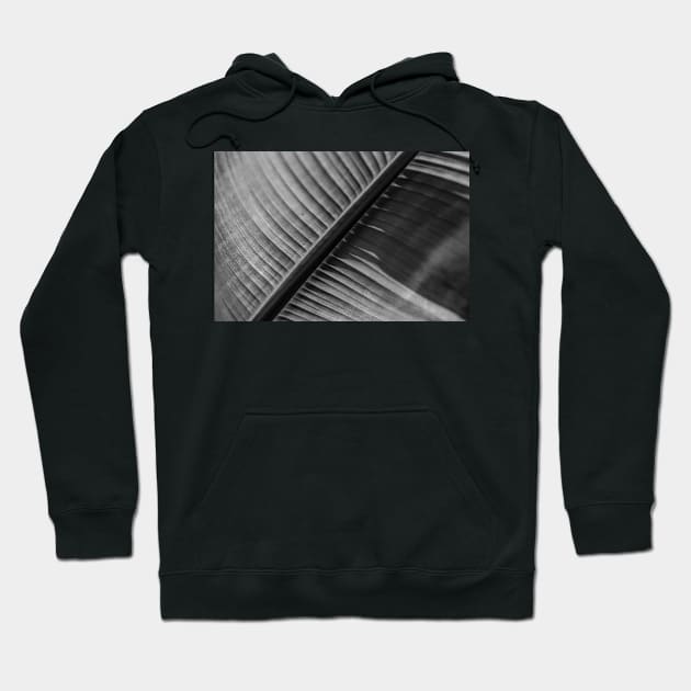 In the shadow Hoodie by thadz